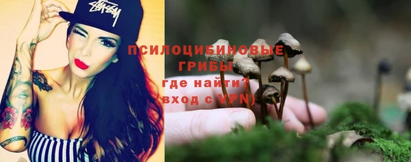 шишки Зуевка