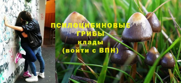 герыч Ивангород