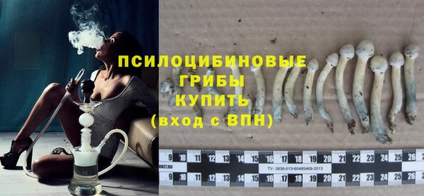 хмурый Нязепетровск