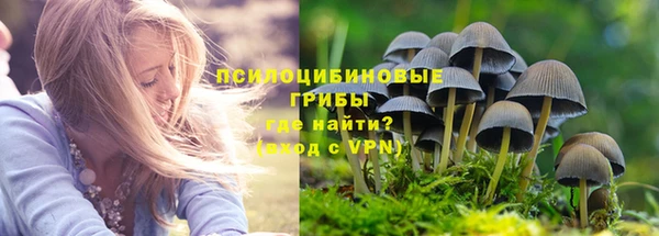 таблы Ивантеевка