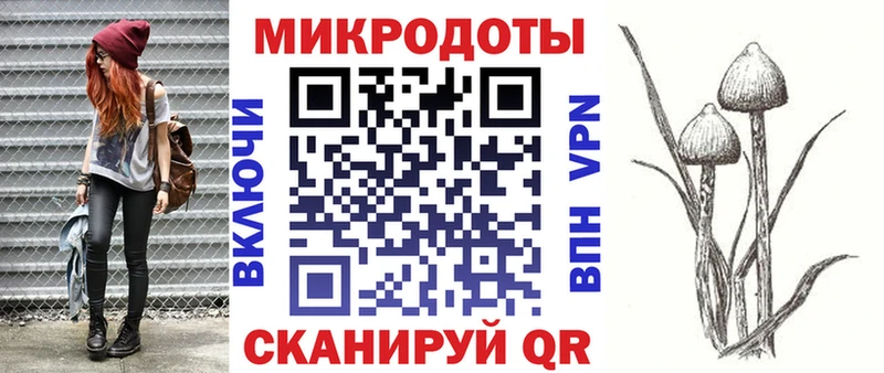 купить наркоту  Сельцо  Галлюциногенные грибы MAGIC MUSHROOMS 